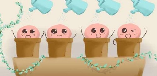 移植后体温有所波动没你预想的那么糟，了解清楚才能安心